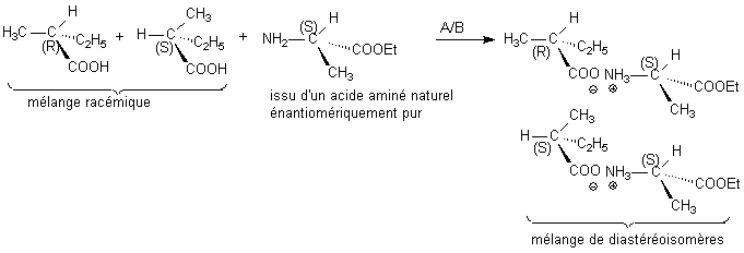 Résolution racémique Acide / acide aminé